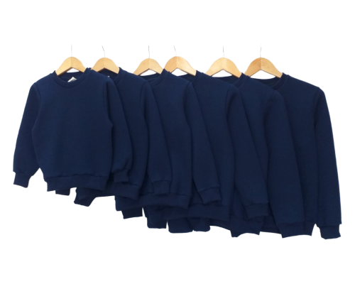 Buzo cuello redondo FRISA