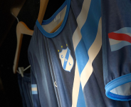 Camiseta 100% sublimada