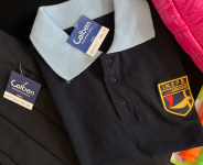 Chomba colegial de PIQUE – Con LOGO